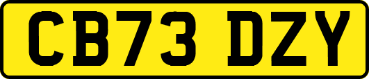 CB73DZY