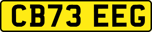 CB73EEG