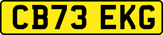 CB73EKG