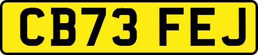 CB73FEJ