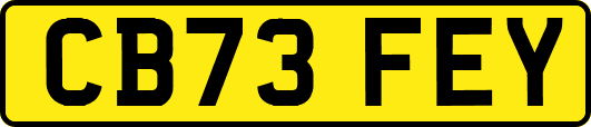 CB73FEY
