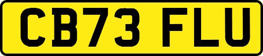 CB73FLU