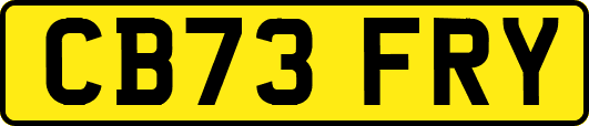 CB73FRY