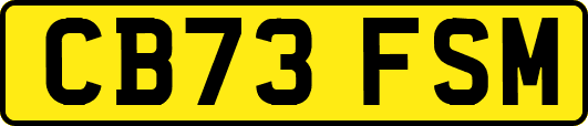 CB73FSM