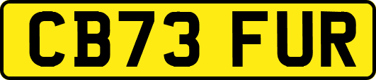 CB73FUR