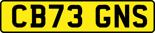 CB73GNS