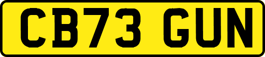 CB73GUN