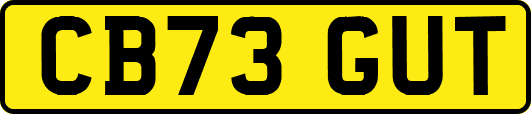 CB73GUT