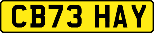 CB73HAY