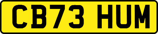 CB73HUM