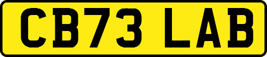 CB73LAB