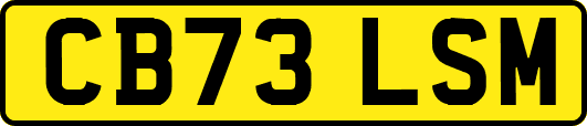 CB73LSM