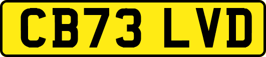 CB73LVD
