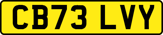 CB73LVY