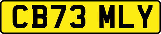 CB73MLY