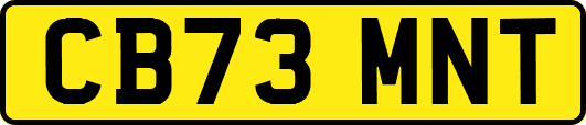 CB73MNT
