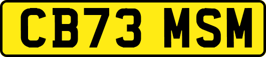 CB73MSM