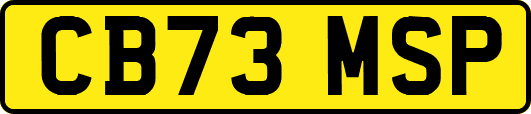 CB73MSP