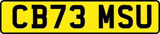 CB73MSU