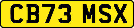 CB73MSX