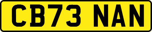 CB73NAN