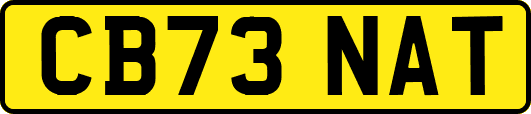 CB73NAT