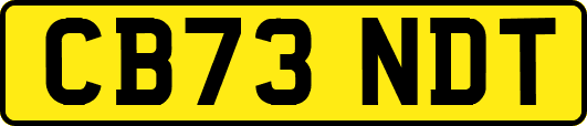 CB73NDT
