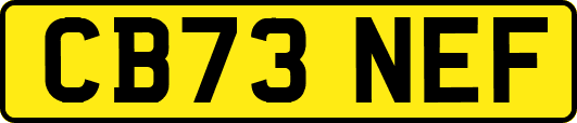 CB73NEF