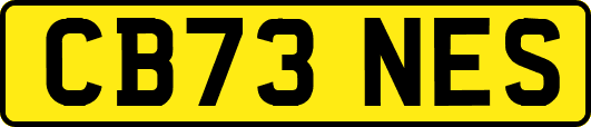 CB73NES