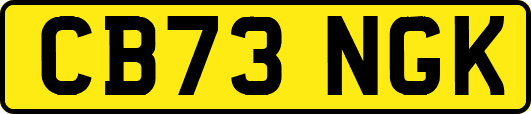CB73NGK