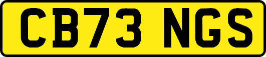 CB73NGS