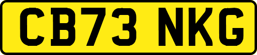 CB73NKG