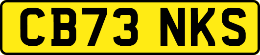 CB73NKS