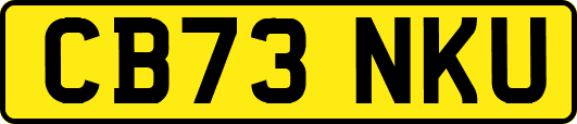 CB73NKU