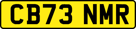 CB73NMR