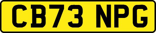 CB73NPG