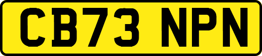 CB73NPN