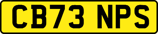 CB73NPS