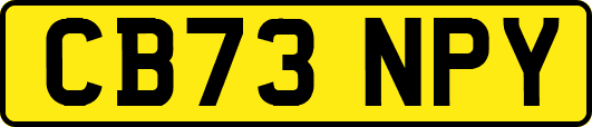 CB73NPY