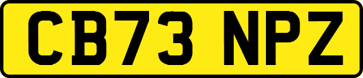 CB73NPZ
