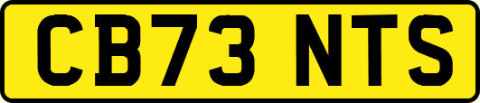 CB73NTS