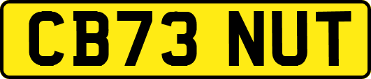 CB73NUT