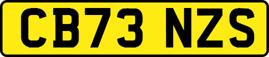 CB73NZS