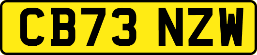 CB73NZW