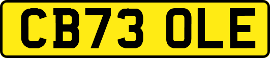 CB73OLE