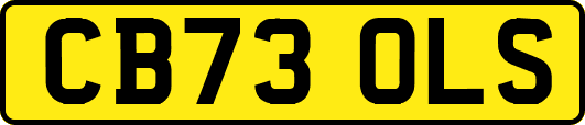 CB73OLS