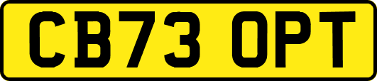 CB73OPT
