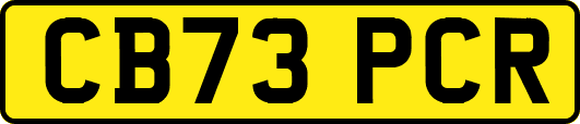 CB73PCR