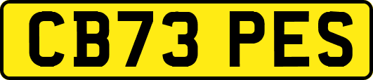 CB73PES