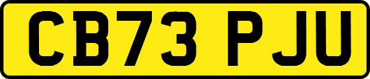 CB73PJU